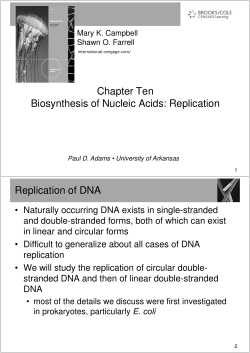 Chapter Ten Biosynthesis of Nucleic Acids: Replication
