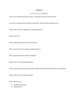 Lab Quiz Material 1.4