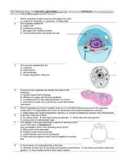 1. Which organelle contains enzymes that digest old cells? A