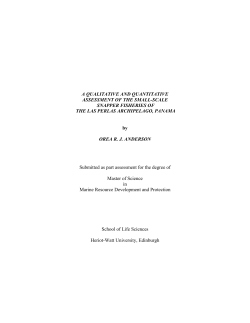 A qualitative and quantitative assessment of the small
