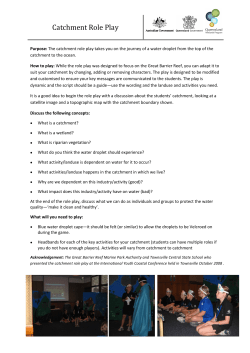 Catchment Role Play