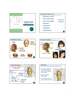 Reference points Area of the head Lines and angles Elevation