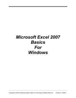 Microsoft Excel 2007 Basics For Windows