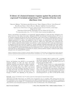 Evidence of a humoral immune response against the prokaryotic