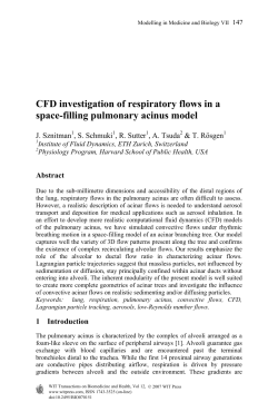 CFD investigation of respiratory flows in a space-filling