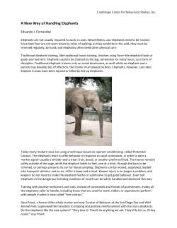 A New Way of Handling Elephants