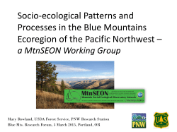 Blue Mountains Working Group Overview