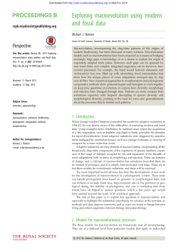 Exploring macroevolution using modern and fossil data