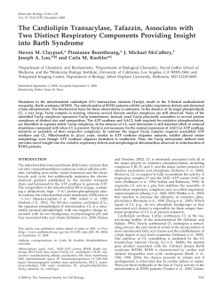 The Cardiolipin Transacylase, Tafazzin, Associates