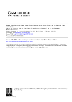 Spatial Distribution of Gaps Along Three Catenas in the Moist Forest