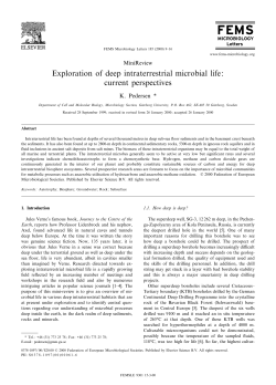 Exploration of deep intraterrestrial microbial life