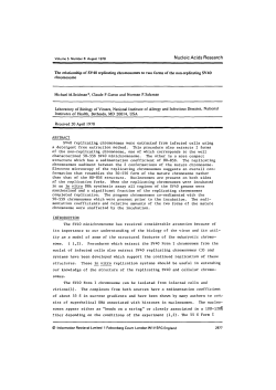 The relationship of SV40 replicating chromosomes to two forms of