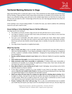 Territorial Marking Behavior in Dogs