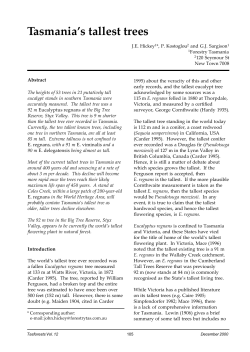 Tasmania`s tallest trees