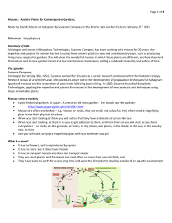 Mosses, Ancient Plants for Contemporary Gardens