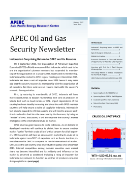 APEC Oil and Gas Security Newsletter