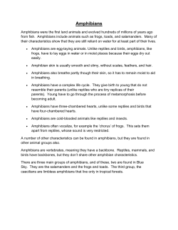 Amphibians