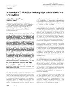 A Functional GFP Fusion for Imaging Clathrin