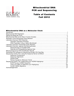 Mitochondrial DNA PCR and Sequencing Table