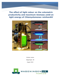 The effect of light colour on the volumetric productivity and maximum