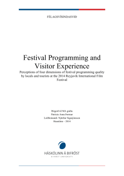 Festival Programming and Visitor Experience