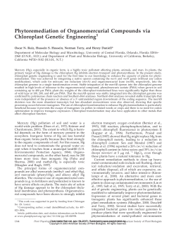 Phytoremediation of Organomercurial