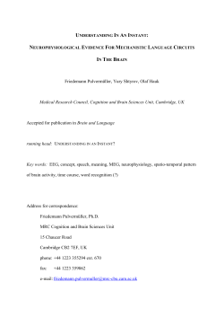 Understanding in an instant