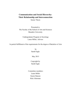 Communication and Social Hierarchy: Their