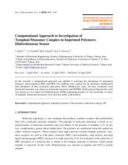 Computational Approach to Investigation of Template/Monomer