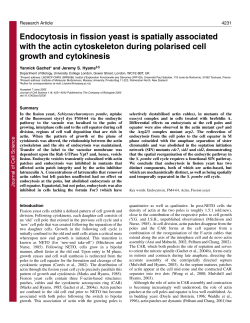 Endocytosis in fission yeast is spatially associated with the actin