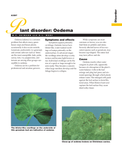 Plant Disorder: Oedema (A3287) - The Learning Store