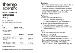 Exonuclease I (Exo I) - Thermo Fisher Scientific