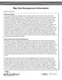 Big Cats Background Information