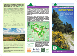 Pooh Walks - Ashdown Forest