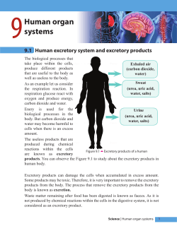 Human organ systems - e