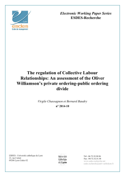 critical assessment of the williamson`s private ordering