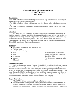 Categories and Dichotomous Keys