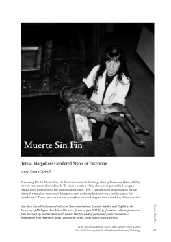 Muerte Sin Fin: Teresa Margolles`s