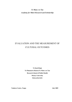 evaluation and the measurement of cultural