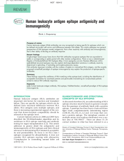 Human leukocyte antigen epitope antigenicity