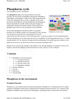 Phosphorus cycle