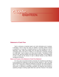 Statement of Cash Flow - Micro Business Publications