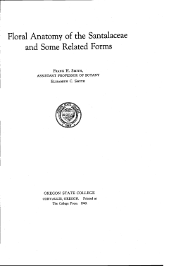 "Floral anatomy of the Santalaceae and some related forms"