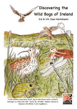 Discovering the Wild Bogs of Ireland