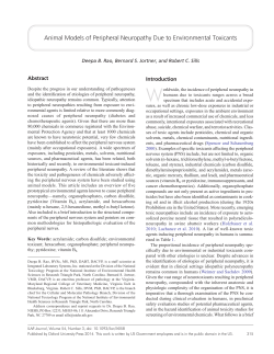 Animal Models of Peripheral Neuropathy Due to