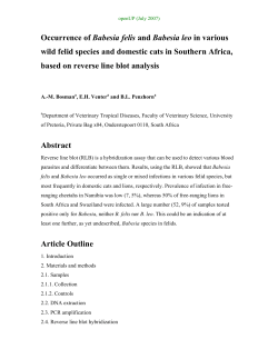 Occurrence of Babesia felis and Babesia leo in various