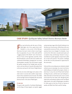 2016_April_Forks WA biomass case story.indd