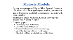 • In your groups you will be walking through the steps of meiosis with