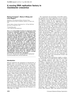 A moving DNA replication factory in Caulobacter crescentus
