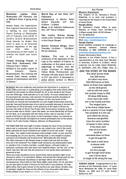 AND THE STORY OF THE BONES The adult human body has 206